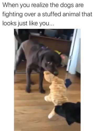 The music made it even better