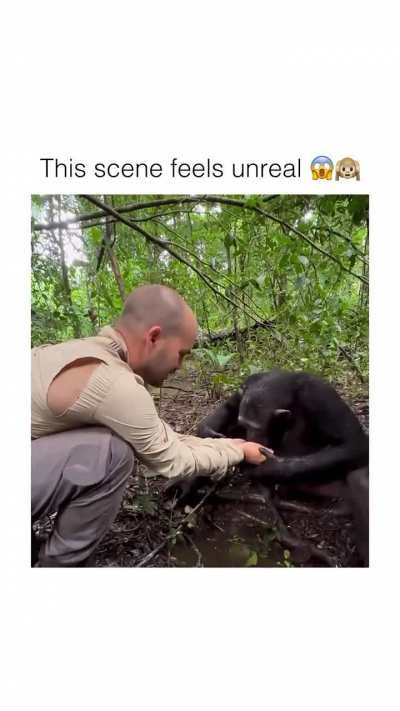 Respect...