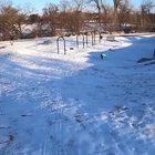 Best Sled Dog Ever!