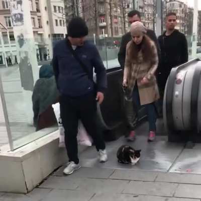 Zero f*cks given