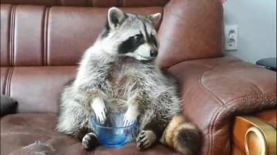 Where'd My Grapes Go?