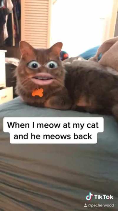 Meow