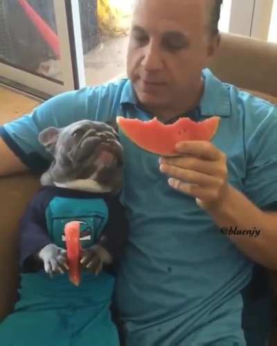 Dad: I don’t want a dog .... Now: