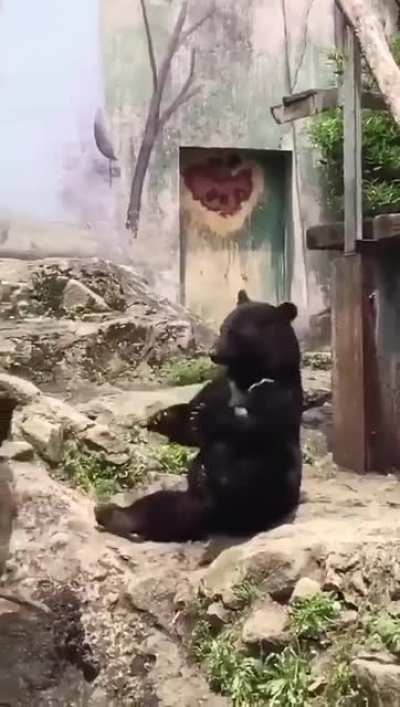 Someone is having fun with a stick