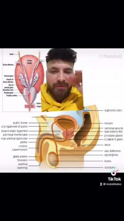 Whats in semen? look at this video to find out, any constructive criticism is welcome ( @instatikdoc on tiktok for the captions if you don’t understand my accent ?)