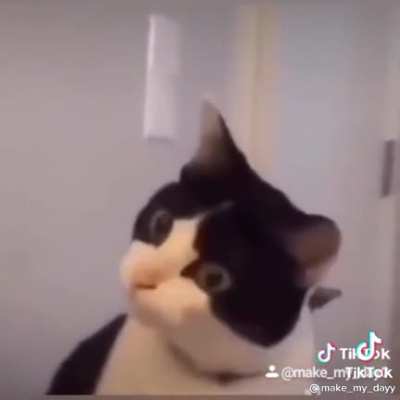 Wat
