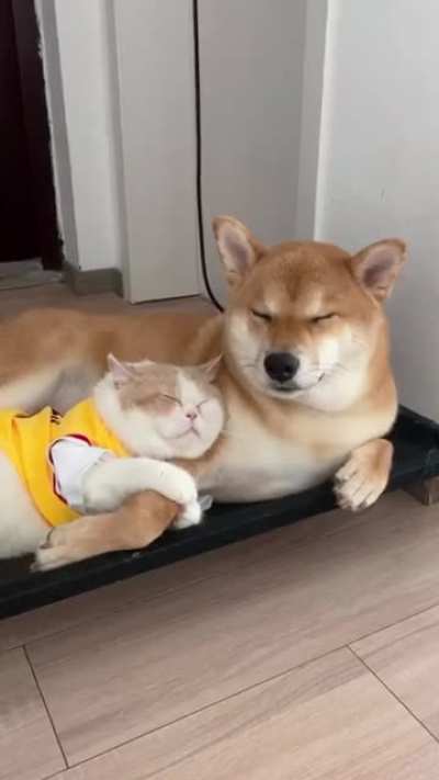 Best friends ???!