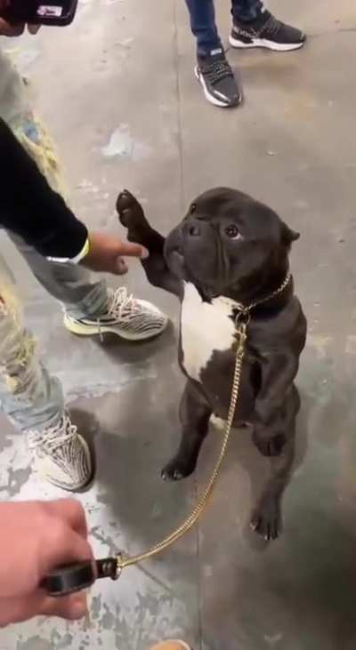 A serious guy