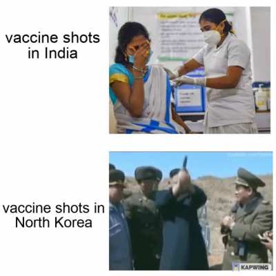 According to study North Korea's vaccine ?% effective
