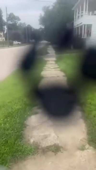 What most of the blind people actually see