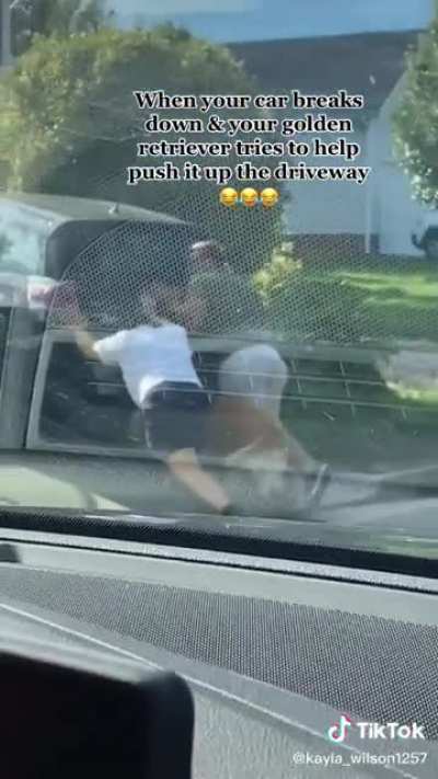 THATS A GOOD BOY!