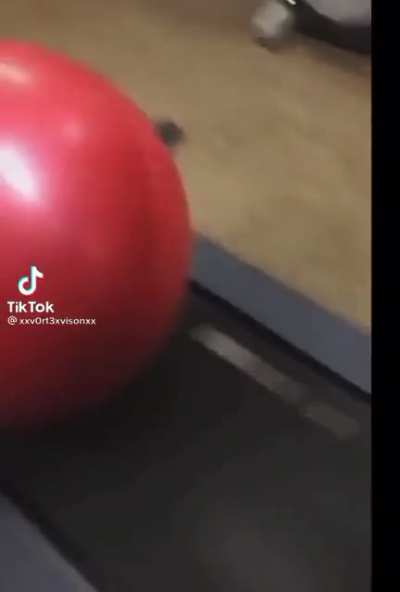 Found this beautiful video on TikTok today