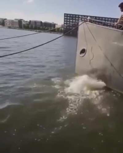 the jump is great, but the landing is wet
