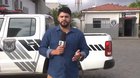 This cat really wanted to appear on TV. The reporter adopted him afterwards ?