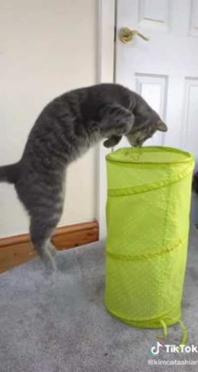 Calculating perfect velocity and angle