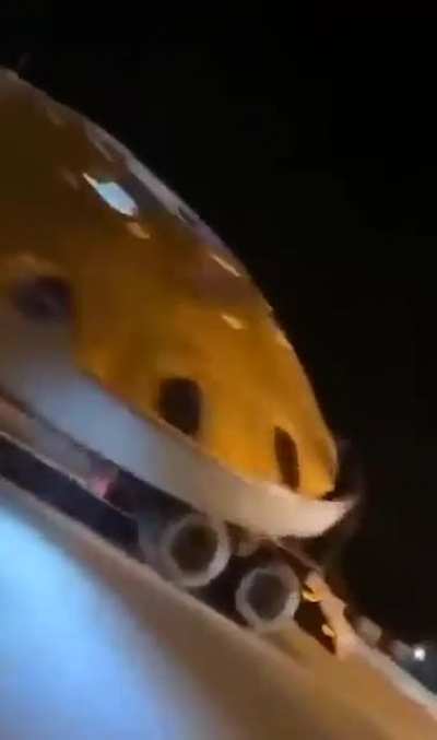 Look guys a UFO!