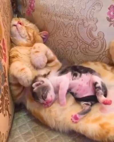 Sleeping Beauty