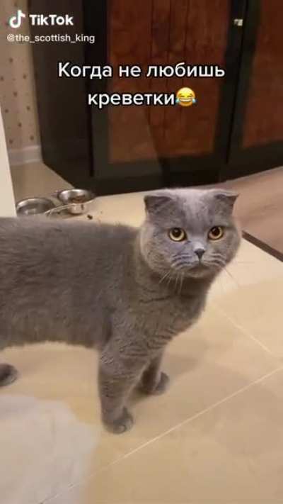 She dont like it!!!