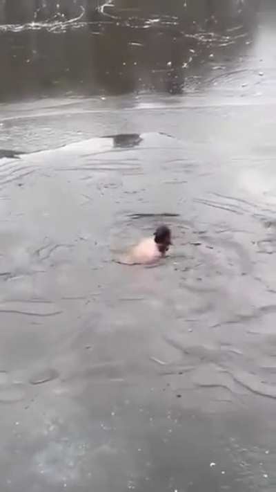 Wait for it