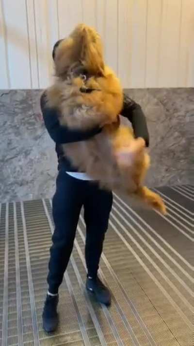 Brave boi...