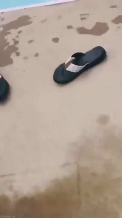 Attempting to dive off the top of a slide.