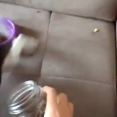 ???...IS THAT THE SOUND OF FOOD??? ?