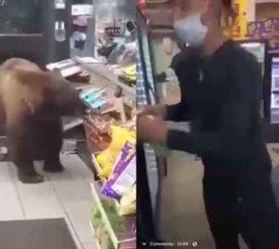 Bears vs Humans