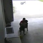 Boy runs into neighbor's garage to hug dog