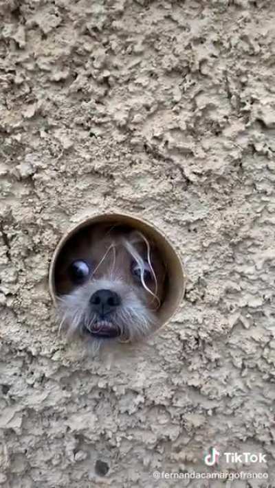 Gabriela go back inside