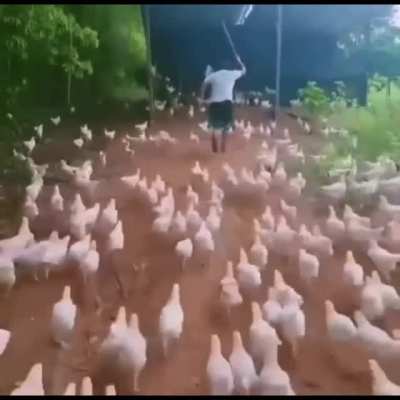 Prepare for battle!