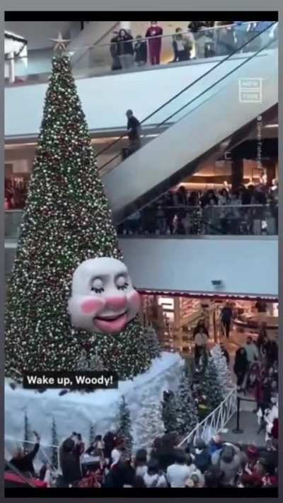 Wake up, Woody!!