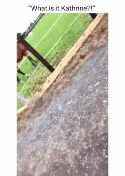 Is that his Willy? ?