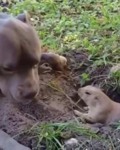 "Leave me alone!"