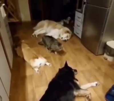 Maybe Maybe Maybe