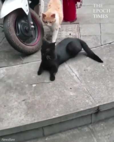 "caught in the act"