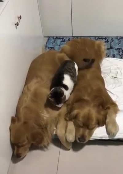 Time to get cozy