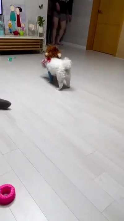 Hey! Wanna play? ??