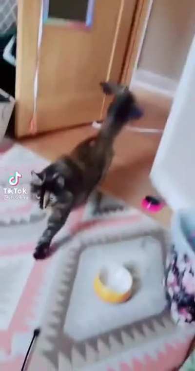 Outta nowhere!