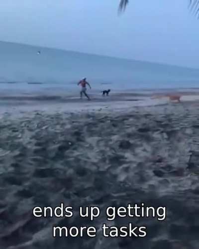 Why do I even keep trying?