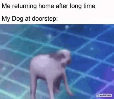 *Happy doggo noises*