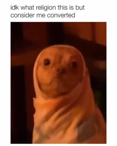 ☮️??