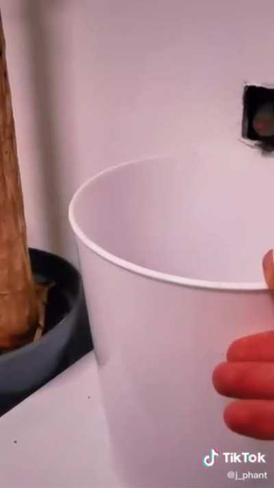 How to Unclog Your Walls with a Wall Snek