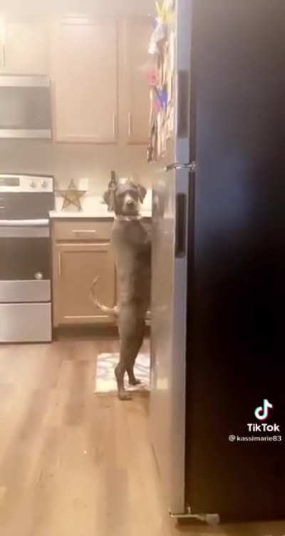 “I have a casserole in the oven”