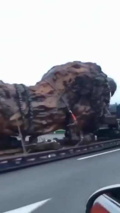 A completely hand-carved work made by sculptor Dengding Rui Yao from a dead Sequoia Tree and completed in about 3 years.