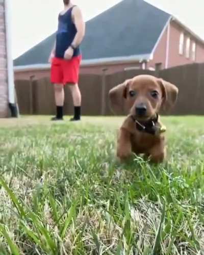 Tested Positive For Cute ..