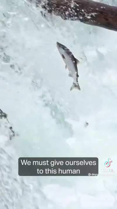 The Yupik (indigenous arctic) human origin story informs their social philosophy to this day: