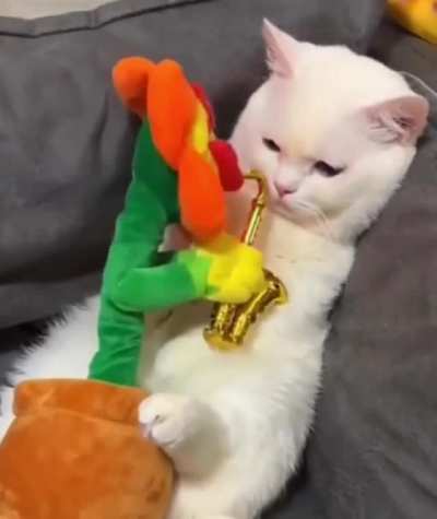 "Look at this song I made"