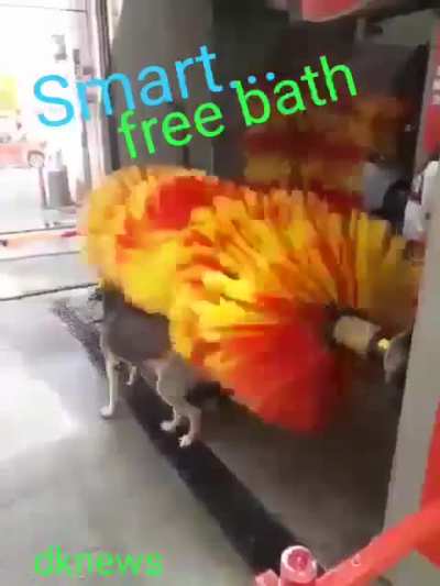 That dog is really smart