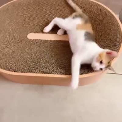 When I need a good fight