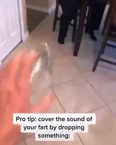 To cover the sound of a fart